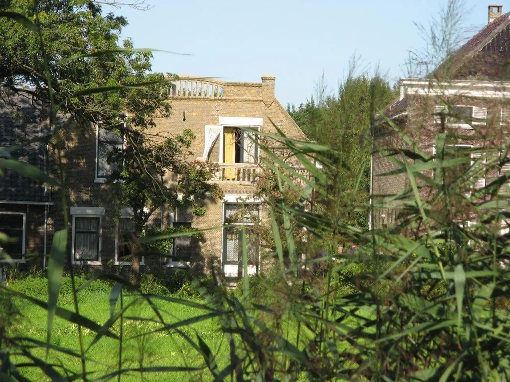 Het huis achter het riet